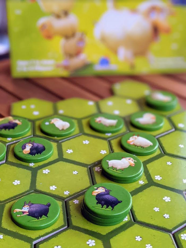 Battle Sheep family-friendly area control strategy game